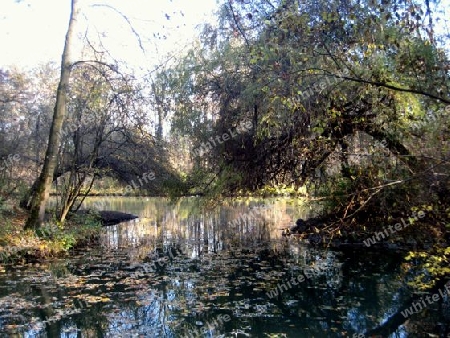 Englischer Garten M?nchen