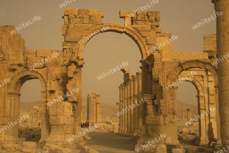 Die Ruinen von Palmyra in der Wueste Faydat in Syrien im Mittleren Osten in Arabien.