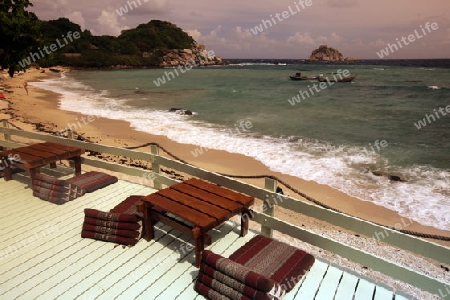 Der Strand an der Mae Haad Bay Beach auf der Insel Ko Tao im Golf von Thailand im Suedwesten von Thailand in Suedostasien.   