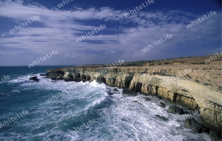 Die Landschaft und Kueste des Kap Greco bei Ayia Napa im suedwesten von Zypern im Mittelmeer. 