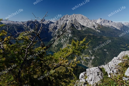 Blick vom Jenner zum Koenigssee, Nationalpark Berchtesgaden, Germany