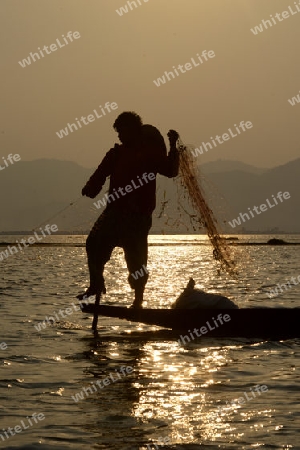 Fishermen at sunset in the Landscape on the Inle Lake in the Shan State in the east of Myanmar in Southeastasia.