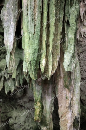 Die Hoehle Tham Phraya Nakhon mit dem Koenigssaal von Rama V aus dem Jahr 1890 in der Felsen Landschaft des Khao Sam Roi Yot Nationalpark am Golf von Thailand im Suedwesten von Thailand in Suedostasien.