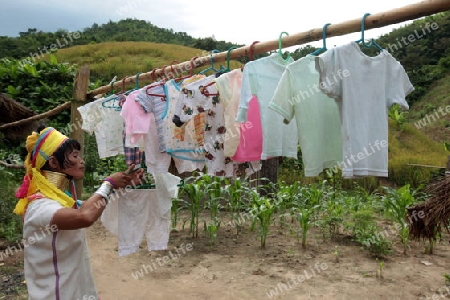 Eine Traditionell gekleidete Langhals Frau eines Paudang Stammes aus Burma lebt in einem Dorf noerdlich von Chiang Mai in Nord Thailand.  