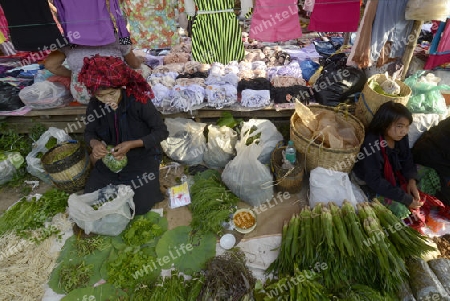 the market at the Village of Phaung Daw Oo at the Inle Lake in the Shan State in the east of Myanmar in Southeastasia.