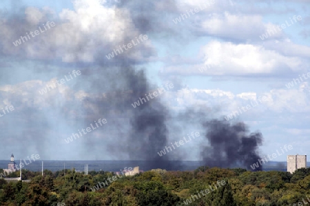 feuer im wald