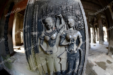 The Angkor Wat in the Temple City of Angkor near the City of Siem Riep in the west of Cambodia.