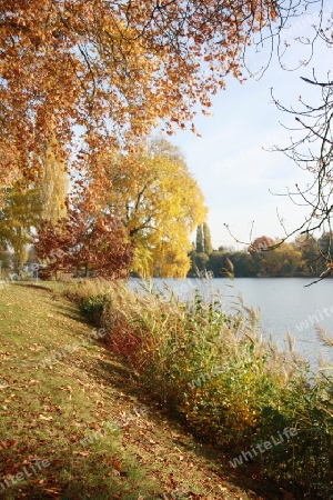 Herbst am Heiligen See