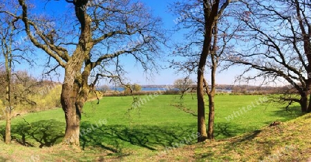 Beautiful high resolution panorama of a northern european country landscape with fields and green grass.