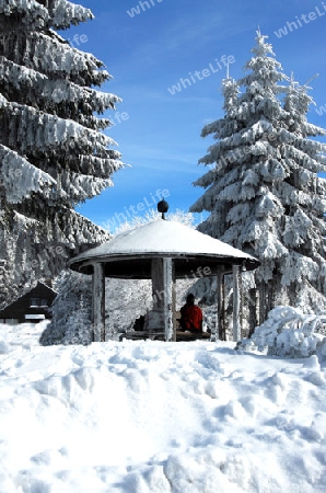 Rasth?tte im Schwarzwald