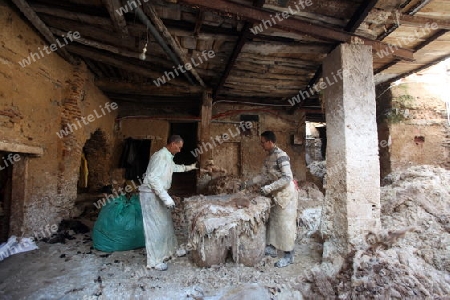 The Leather production in the old City in the historical Town of Fes in Morocco in north Africa.