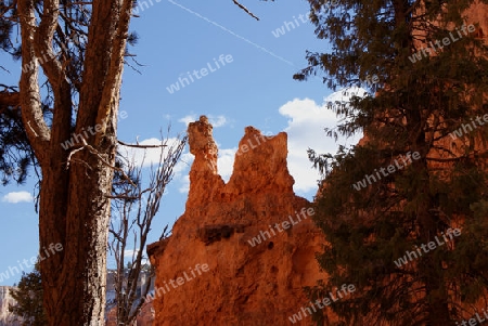 Bryce Canyon USA