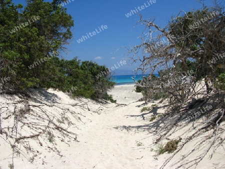 Chrissi Island, Weg zum Golden Beach