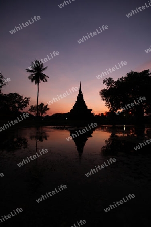 Ein Chedi beim Wat Mahathat Tempel in der Tempelanlage von Alt-Sukhothai in der Provinz Sukhothai im Norden von Thailand in Suedostasien.