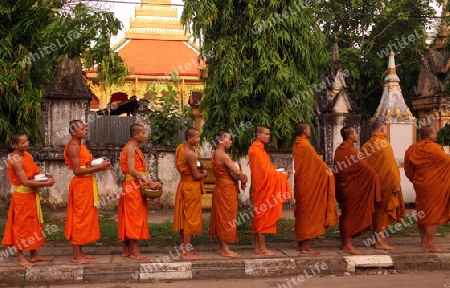 Moenche auf ihrem Rundgang am fruehem Morgen vor dem Tempel Wat Sainyaphum in der Stadt Savannahet in zentral Laos an der Grenze zu Thailand in Suedostasien.