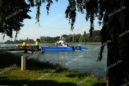 Autof?hre auf dem Rhein bei Plittersdorf