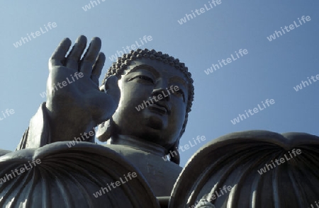 The Giant Buddha on the Island Lantau in Hong Kong in the south of China in Asia.