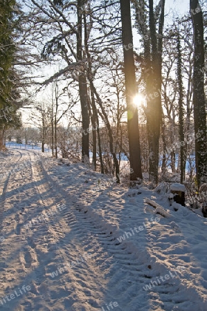 winterliche Szene 