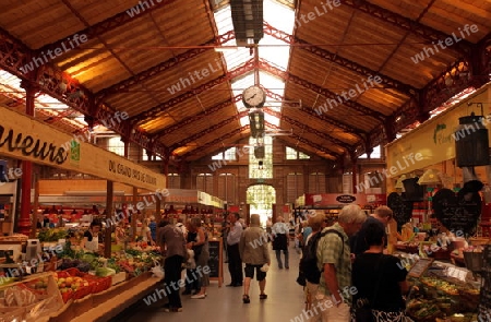 the Market Hall in the old city of Colmar in  the province of Alsace in France in Europe