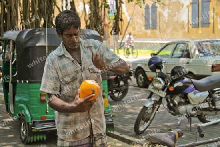 Verkauf von K?nigskokosnuss in Sri Lanka