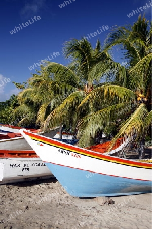 Suedamerika, Karibik, Venezuela, Isla Margarita, Pedro Gonzalez, Playa Pedro Gonzalez, Beach, Strand, Bucht, Fischerdorf, Fischerboot, Holzboot, Palmen, Ferien, Traumstrand, Idylle, Landschaft