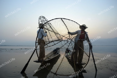 Fishermen at sunrise in the Landscape on the Inle Lake in the Shan State in the east of Myanmar in Southeastasia.