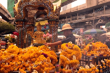 Der Erewan Schrein in der Th Phra Ram 1 Road beim Siam Square in Bangkok der Hauptstadt von Thailand in Suedostasien