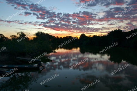 Pantanal