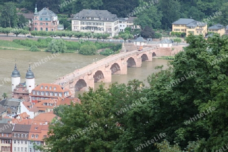 Neckarbruecke mit Brueckentor 2