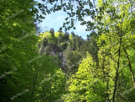 Bayrische Landschaft