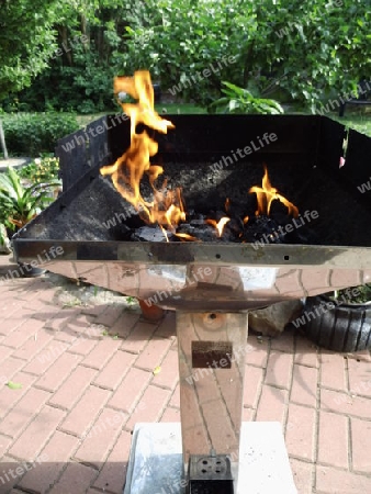 Grillfeuer