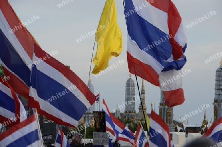 Tausende von Thailaender zelebrieren den Kroenungstag des Koenig Bhumibol auf dem Sanam Luang Park vor dem Wat Phra Kaew in der Stadt Bangkok in Thailand in Suedostasien.  