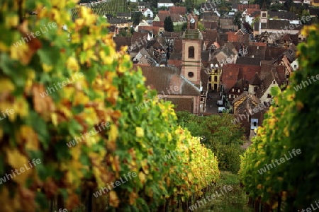 the olt town of the village of Riquewihr in the province of Alsace in France in Europe