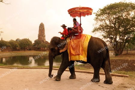 Ein Elephanten Taxi vor einem der vielen Tempel in der Tempelstadt Ayutthaya noerdlich von Bangkok in Thailand. 