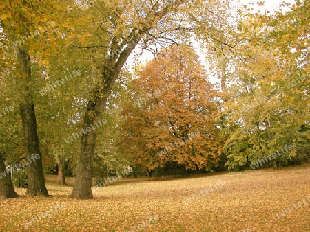 Herbststimmung