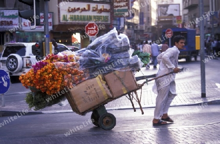 a shopping street in the souq or Market in the old town in the city of Dubai in the Arab Emirates in the Gulf of Arabia.