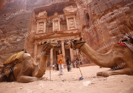 The Al Khazneh Treasury in the Temple city of Petra in Jordan in the middle east.