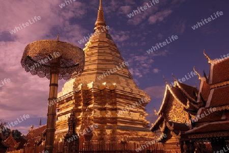 Der Chedi der Tempel Anlage des Wat Phra That Doi Suthep bei Chiang Mai in der Provinz Chiang Mai im Norden von Thailand in Suedostasien.