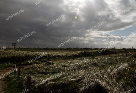 Wangerooge