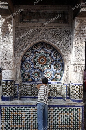 a waterplace in the Marketroad in the Medina of old City in the historical Town of Fes in Morocco in north Africa.