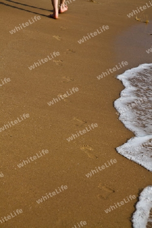 Sandstrand im S?den von Sri Lanka