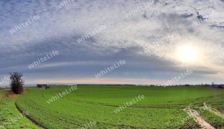 Beautiful high resolution panorama of a northern european country landscape with fields and green grass.