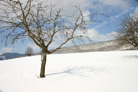 Winterlandschaft