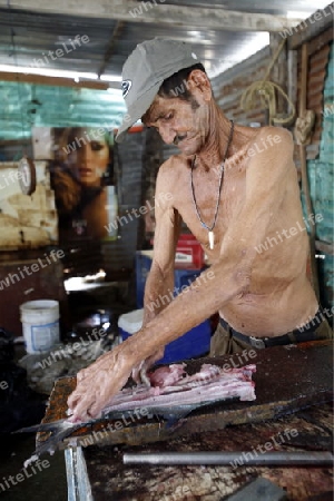 Suedamerika, Karibik, Venezuela, Isla Margarita, Juangriego, Fischmarkt, Fisch, Raubfisch, Speisefisch, Arbeit, Wirtschaft,  Alltag, Markt am Strand, Mann, Senior,