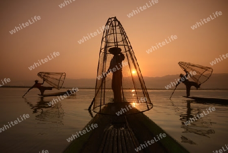 Fishermen at sunrise in the Landscape on the Inle Lake in the Shan State in the east of Myanmar in Southeastasia.