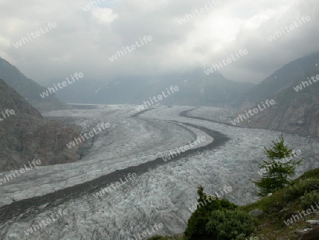 Aletschgletscher