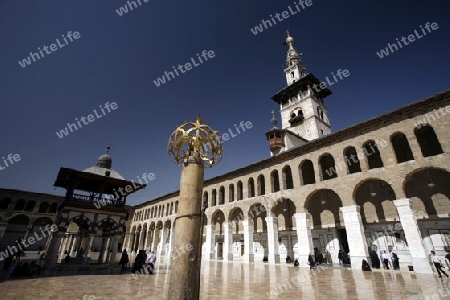 Asien, Naher Osten, Syrien, Damaskus,   Der Innenhof der  Omaijad Moschee im Souq und Altstadt von Damaskus in der Hauptstadt von Syrien. 