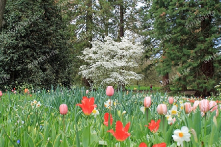 Auf der Insel Mainau