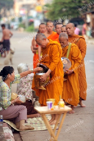 Moenche auf ihrem Rundgang am fruehem Morgen vor dem Tempel in der Stadt Tha Khaek in zentral Laos an der Grenze zu Thailand in Suedostasien.