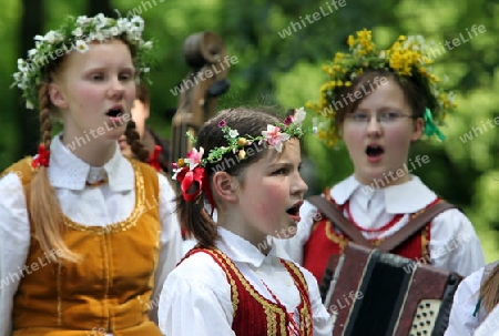 a Summer Festival in a Parc in the old City of Vilnius in the Baltic State of Lithuania,  